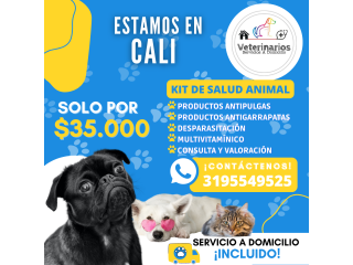 Servicios veterinarios a domicilio