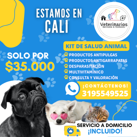 servicios-veterinarios-a-domicilio-big-0