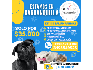 Servicios veterinarios a domicilio