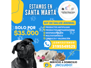 Servicios veterinarios a domicilio