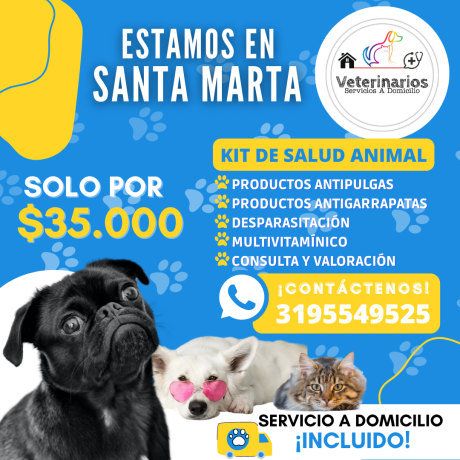 servicios-veterinarios-a-domicilio-big-0