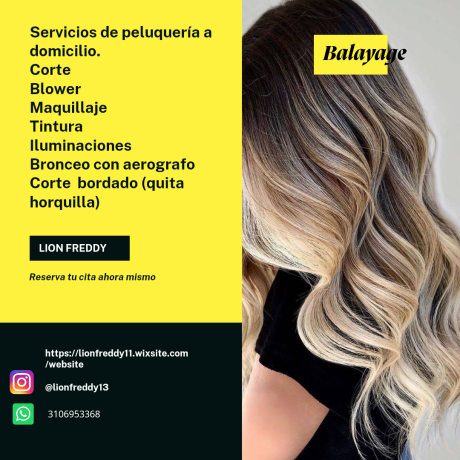 servicios-de-peluqueria-a-domicilio-big-2